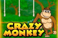 Crazy Monkey